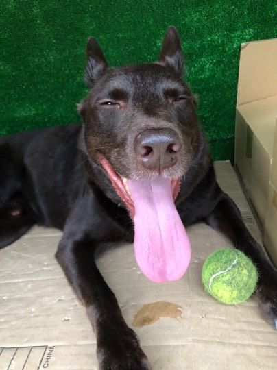 生き物ルーム第24