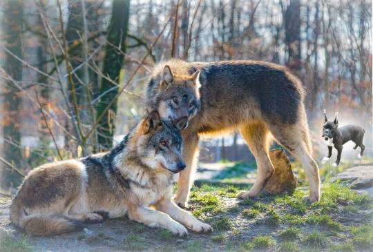 生き物ルーム第24