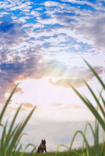 生き物ルーム第24