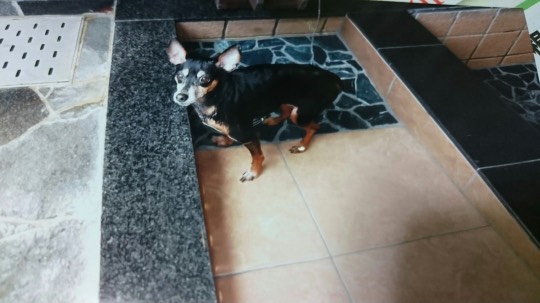 生き物ルーム第24