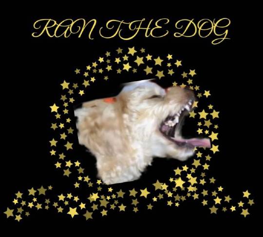 生き物ルーム第26