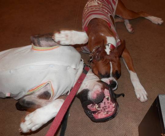 生き物ルーム第23