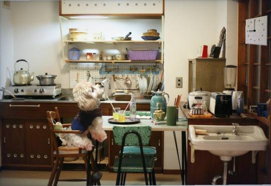 生き物ルーム第24