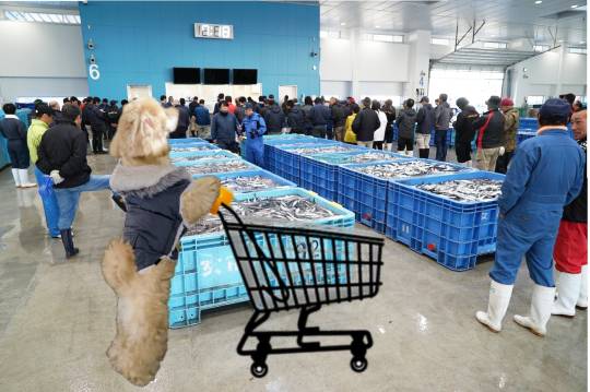 生き物ルーム第24