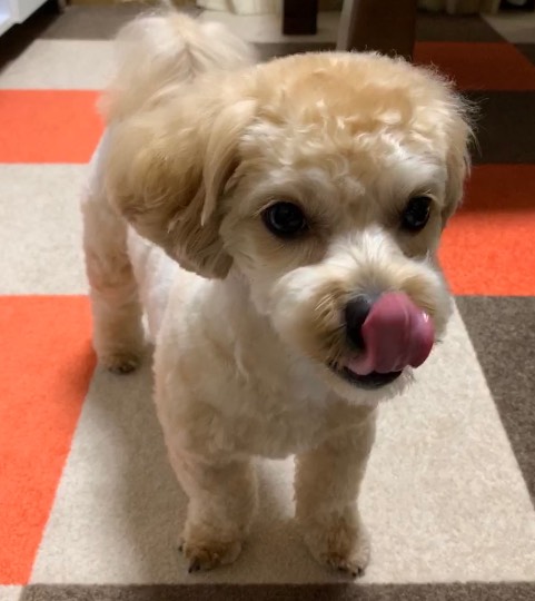 生き物ルーム第24