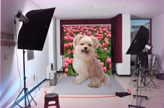 生き物ルーム第24