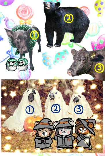 生き物ルーム第26