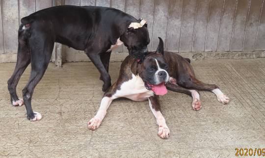 生き物ルーム第26