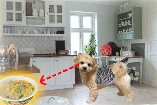 生き物ルーム第23