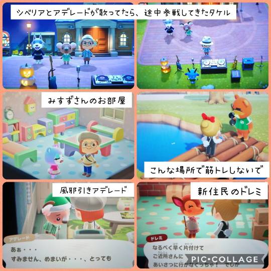 あつまれゲーム好きさんの森Ⅵ 雑談もあるばってん