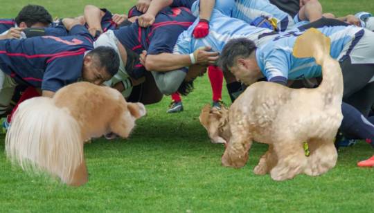 生き物ルーム第26