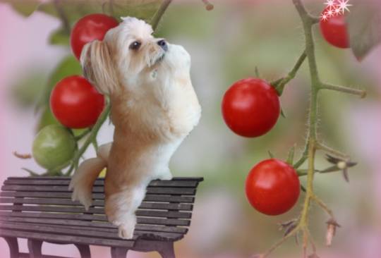 生き物ルーム第24