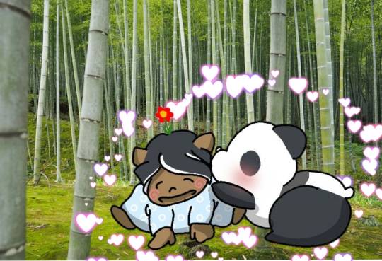 生き物ルーム第26