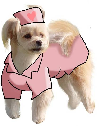 生き物ルーム第26