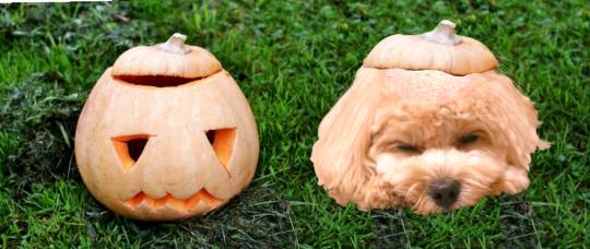 生き物ルーム第26