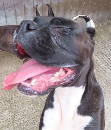 生き物ルーム第24