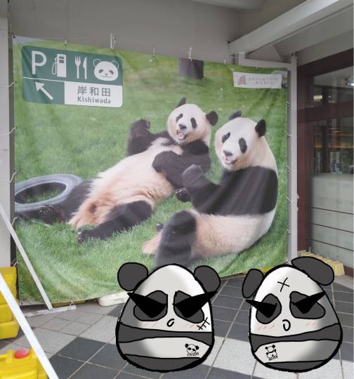 生き物ルーム第24