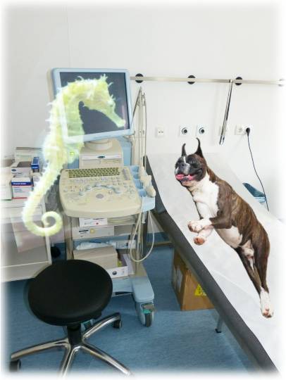 生き物ルーム第24