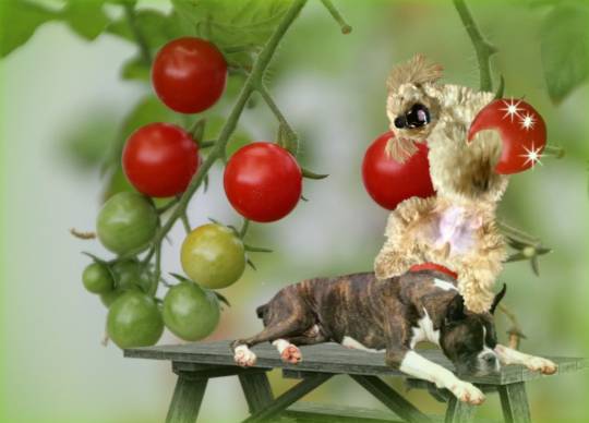 生き物ルーム第24