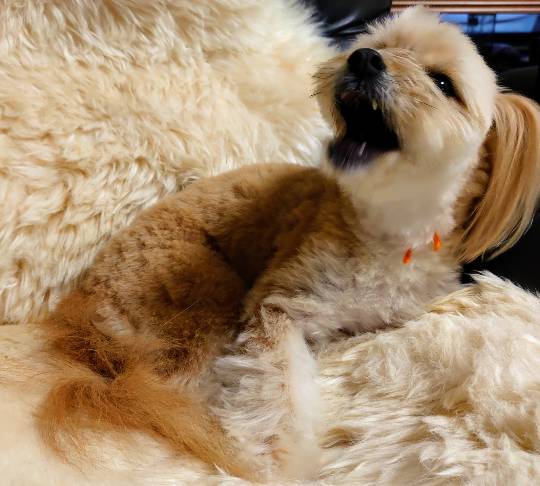 生き物ルーム第24