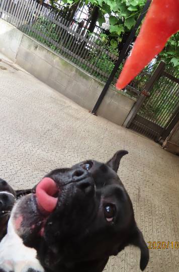 生き物ルーム第26