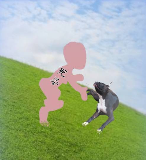 生き物ルーム第24