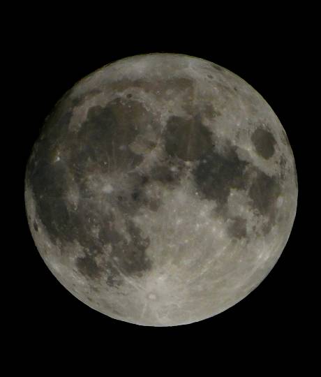 EGG'S CAFE 『雑談板5周年おめでとう』