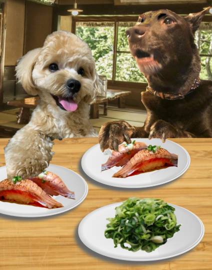 生き物ルーム第24