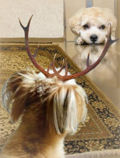 生き物ルーム第24