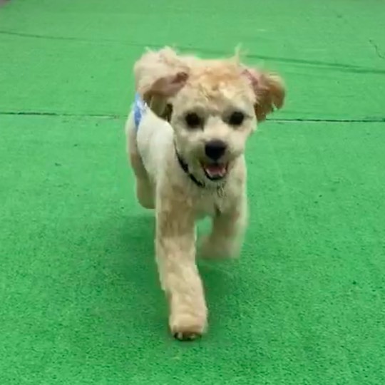 生き物ルーム第26