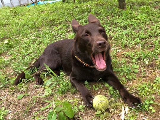 生き物ルーム第24