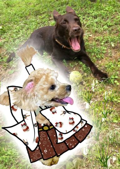 生き物ルーム第24