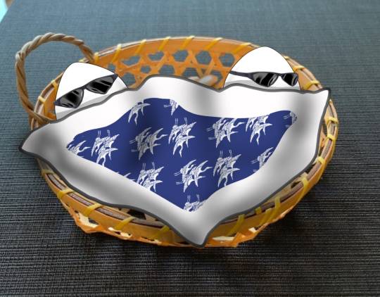 生き物ルーム第26