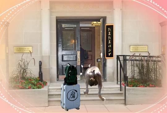 生き物ルーム第24