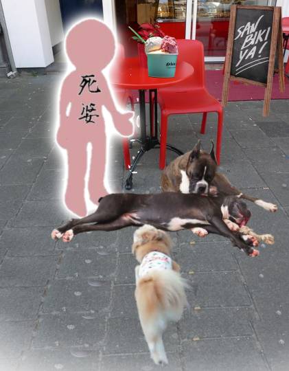 生き物ルーム第24