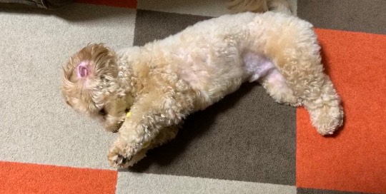 生き物ルーム第24