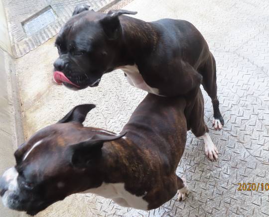 生き物ルーム第24