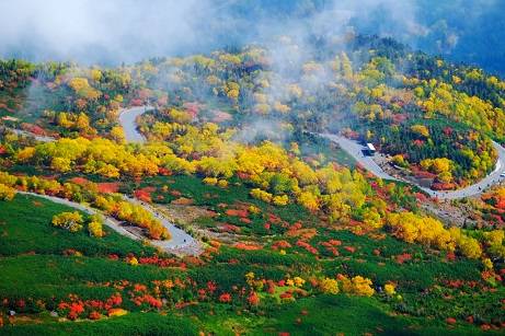 花鳥風月に心を込めて...　(エアー花トピ2)