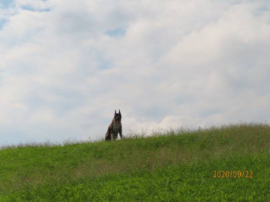 生き物ルーム第24