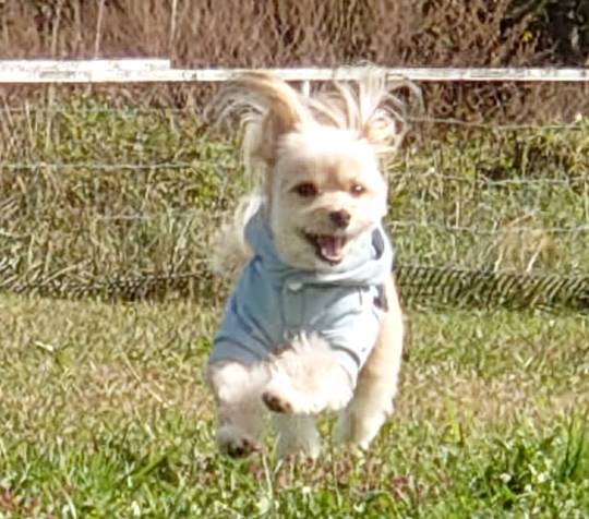 生き物ルーム第26