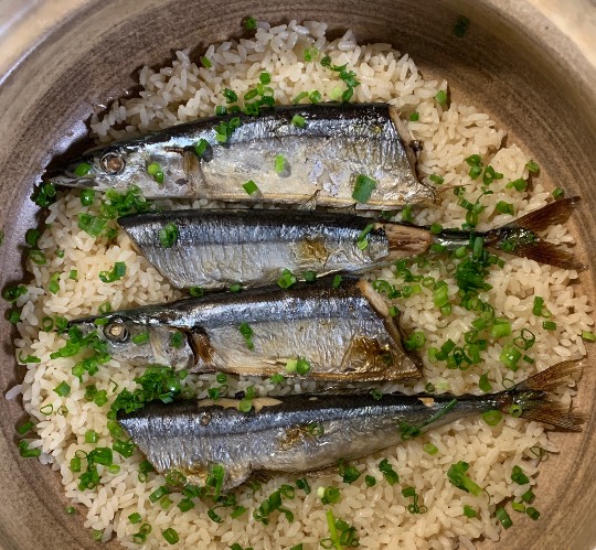 【料理トピ】知り隊　食い隊　調べ隊　3