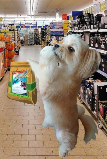 生き物ルーム第26