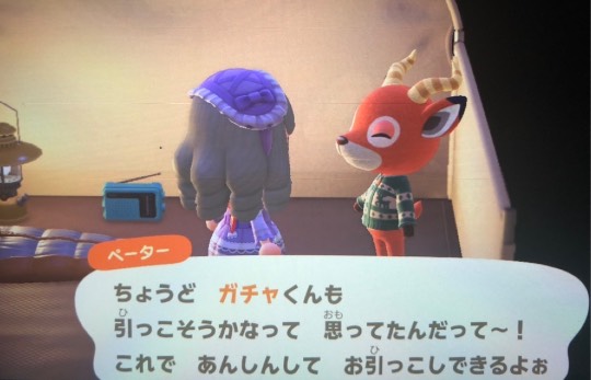 あつまれゲーム好きさんの森 Ⅴ 雑談も歓迎しとーよ♪