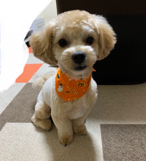 生き物ルーム第24