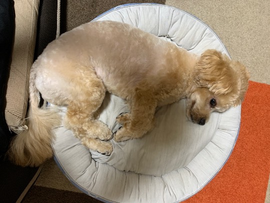 生き物ルーム第24