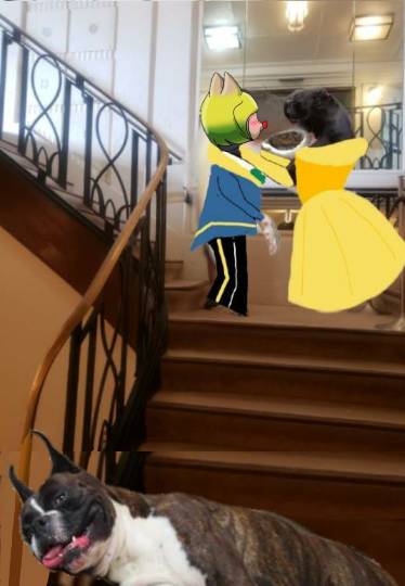 生き物ルーム第26