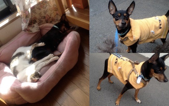 生き物ルーム第26