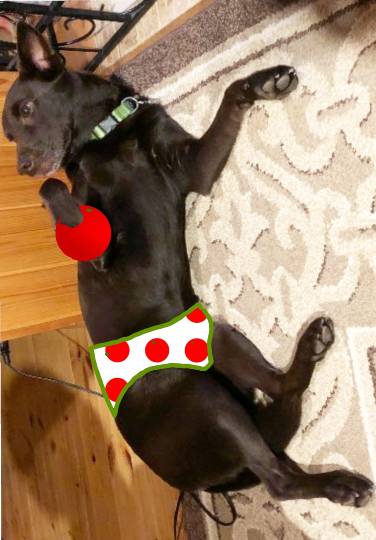 生き物ルーム第24