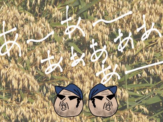 つぶやき55  イケイケGO GO！ご昭和ください