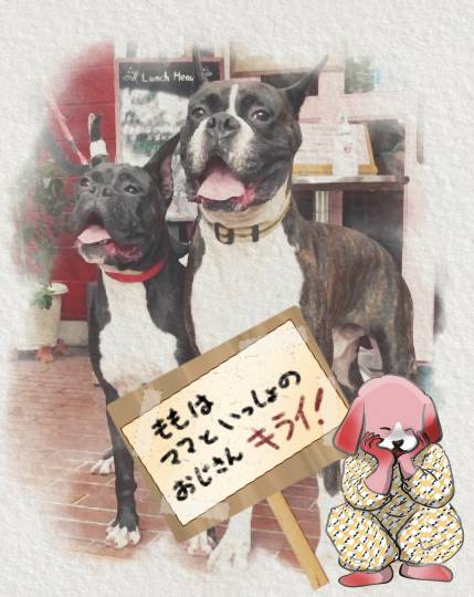 生き物ルーム第24